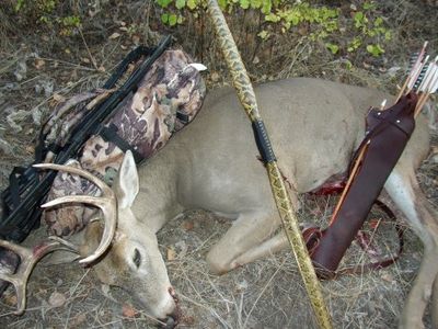 Curt 8 Point Whitetail 2008