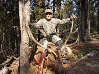 Curt Brisky - Montana bull elk - 2011