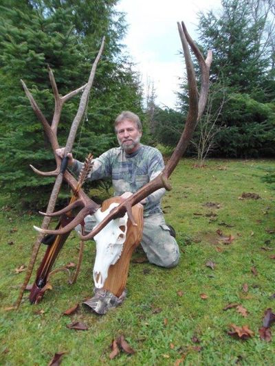 Curt Brisky - Montana 6x6 bull elk - 2013