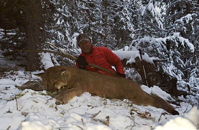 Dennis Dunn - B.C. Mountain Lion - 2015