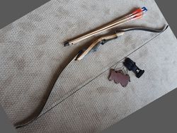 Takedown Recurve Bow