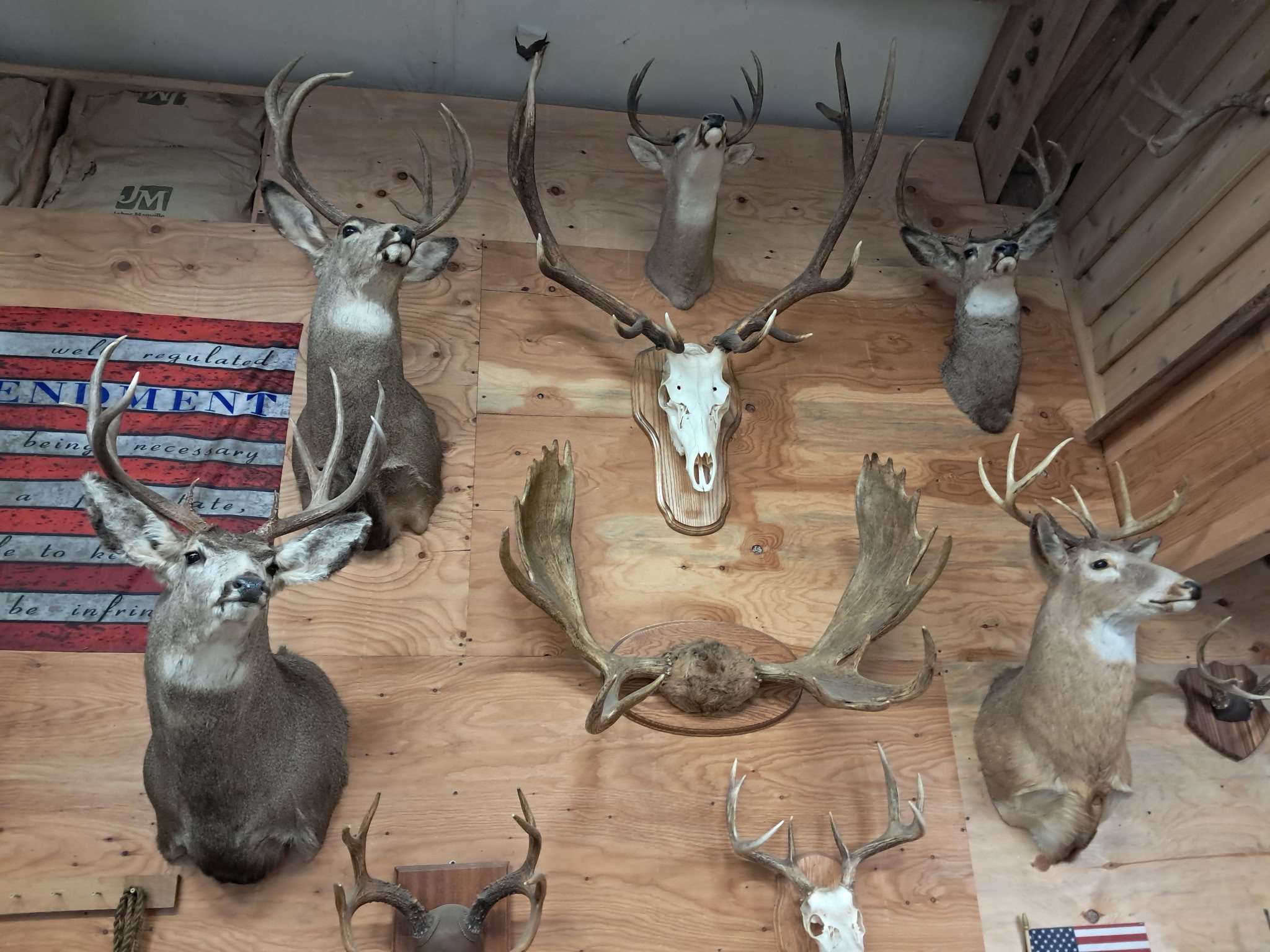 Brisky Bows selfbows