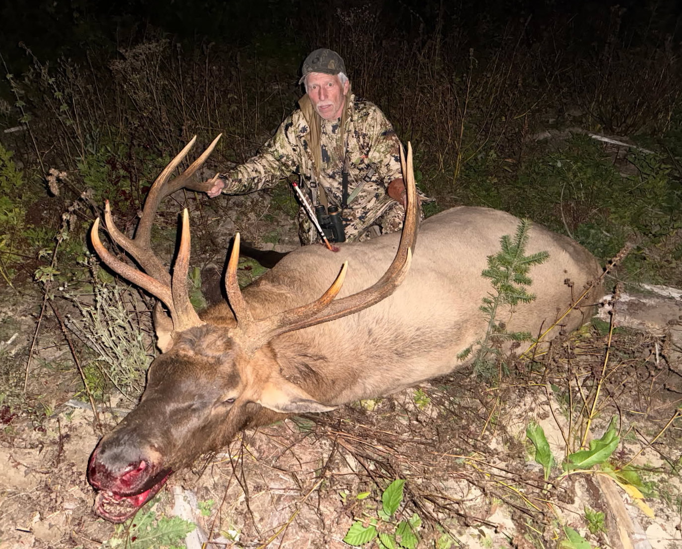 Curt Brisky - Washington 7x6 Roosevelt Elk - 2025